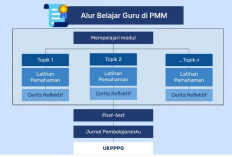 Tugas-Tugas yang Harus Dilakukan Peserta PPG Guru Tertentu Selama Proses Piloting Tahap 2