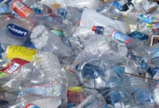 Limbah Plastik: Ancaman Serius Bagi Lingkungan, Ekosistem, dan Masa Depan Generasi Mendatang