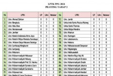 Beredar! Hasil UKPPPG Piloting 2, Apakah Benarkah? Simak Jawabannya