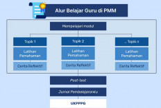 Rincian Modul dan Post Test yang Harus Dikerjakan Agar Bisa Ikut UKPPPG Guru Tertentu Tahun 2024