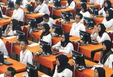 Tahapan Selanjutnya Setelah Lulus Seleksi PPPK: Dari Pengumuman Hingga Penempatan Kerja Resmi