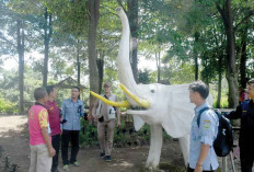 Hadirkan Permainan Anak hingga Patung Gajah, Desa Sidoharjo, Kecamatan Salek, Banyuasin 
