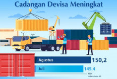 Cadangan Devisa Indonesia Meningkat, BI Optimistis Terhadap Stabilitas Ekonomi