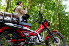 Honda CT125 Bebek Trail dengan Desain Klasik dan Kemampuan Melibas Medan