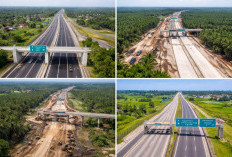 Progres Jalan Tol di Sumsel 2026: Ruas Aktif, Mangkrak, dan Target Pemerintah