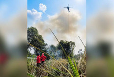 Karhutla Seluas 10 Hektare di Ogan Ilir Mendekati Jalan Lintas Sumatera, Asap Cukup Tebal