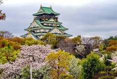 Sejarah Bunga Sakura sebagai Simbol Nasional Jepang