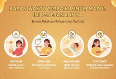Kapan Waktu Terbaik Minum Madu? Ini Penjelasannya