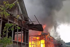 Delapan Rumah Warga Hangus Dilalap Api di Muara Cawang