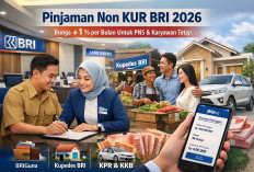 Pinjaman Non KUR BRI Jadi Alternatif Kredit 2026, Ini Jenis dan Syarat Pengajuannya