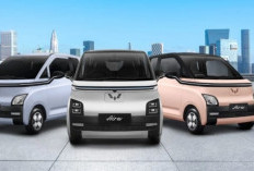 Mobil Listrik Makin Murah! Skema Kredit 2025 Hadir dengan Subsidi dan Bunga Super Rendah