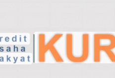 Tanpa Riba, Inilah 3 Jenis Pinjaman Modal Usaha dari BSI Untuk Usaha Rumahan, Proses Cepat di Juli 2025