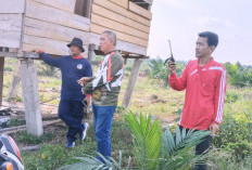 Gajah Liar Mengamuk, Kebun Warga di Muratara Rusak Parah