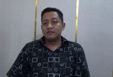 Harga BBM Meledak, Bisnis Rental Mobil di Palembang Mulai Tersungkur!