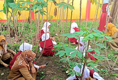 Cetak Generasi Mandiri Pangan, SDN 3 Taman Agung OKU Timur Sulap Pekarangan Jadi Kebun Produktif
