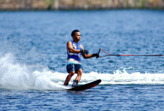 Bonus Rp1 M, Atlet OKI Investasi Kebun Sawit