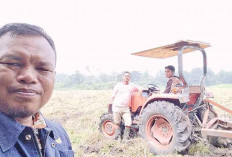 Perhatikan Tipe Tanah  dan Ketersediaan Air, Tanam Jagung di Musim Kemarau