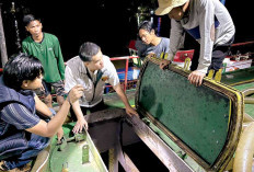 Tim Gabungan Bongkar Distribusi Solar Ilegal dari Kapal ke Kapal, Amankan 82 Ribu KL Solar