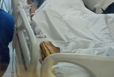 Sebelum Dipulangkan ke Palembang, Jenazah Alex Noerdin Disemayamkan di Kediaman Keluarga