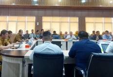 Mantapkan Strategi Wawancara-Verifikasi, Pemprov Sumsel Bersiap Penilaian Tahap II PPD 2025
