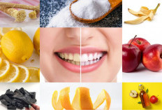 Memiliki Gigi Kuning Membuat Tidak PD? Tenang, 9 Bahan Alami Ini Efektif Memutihkan Gigi, Jadikan Gigi Putih
