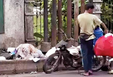 Warga Masih Buang Sampah Sembarang, Pemkot Revisi Perwali Siapkan Sanksi Lebih Tegas, Ini Kata Wako Ratu Dewa