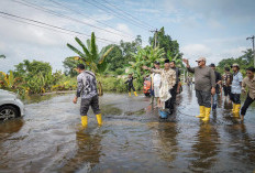 Banjir Terjang Jalan Sekayu-Teladan, Apriyadi Instruksi Perbaikan Segera