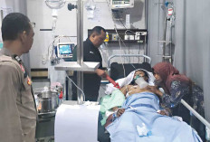 Polisi Identifikasi Pelaku, Penyerang Pedagang Pecel Lele Ternyata 15 Orang