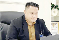 Generasi Muda Dominasi Aplikasi Tring