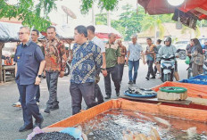 Sidak Pasar, Pjs Bupati OKUT Temukan Hal Ini