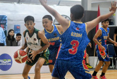 Matsandupa Gaspol di Game Perdana, Big Eight Diraih Usai Tekuk Blue Shark 38-18 di MDP Basketball League 2026