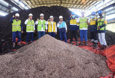 PTBA Perkuat Langkah Menuju Energi Bersih, Lewat Uji Coba Co-firing Wood Pellet di PLTU Tanjung Enim