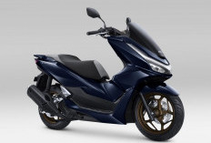 Honda PCX160 Tampil Lebih Mewah di IIMS 2026, Sentuhan Warna Baru Pertegas Status Skutik Premium