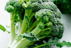 Sayur Brokoli, Si Hijau yang Mengagumkan Ternyata Kaya Manfaat Lho, Simak Yuk Apa Saka
