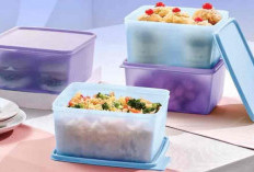 Tupperware Resmi Bangkrut, Hampir 80 Tahun Kuasai Pasar