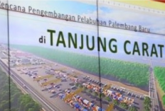 Terkendala Sertifikasi, Benahi Regulasi-RTRW, Pemprov Dorong Pelabuhan Tanjung Carat 