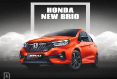Kredit Honda Brio 2026: Bunga vs Tenor Kredit Honda Brio 2026  Mana yang Lebih Menguntungkan 