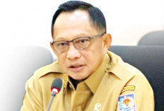 Tito: Jangan Buru-Buru PHK PPPK, Minta Pemda Putar Otak Cari Sumber Pendapatan Baru 