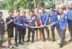 Damkar, 1 Solusi Atasi Masalah Hidup, Ngadu Ditinggal Pacar hingga Minta Jemput Anak di Mantan Suami