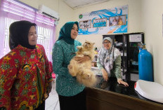 Peringati Hari Rabies Sedunia, Puskeswan Prabumulih Gelar Vaksinasi Massal Hewan Peliharaan
