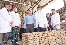 Harus Miliki Sertifikasi, Tingkatkan Daya Saing