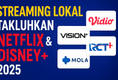Streaming 2025: Platform Lokal Saingi Netflix dan Disney+
