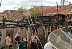 Ditinggal ke Balian Makmur, Rumah Panggung Milik Supangat Hangus Dilahap Si jago Merah tak ada Barang Tersisa 