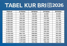 Daftar Produk Pinjaman BRI 2026 Terbaru, Ini Jenis Kredit dan Peruntukannya