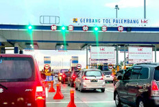 Wujudkan Infrastruktur Tol Berkelanjutan, Tanam Pohon Hingga Gunakan Smart Lamp