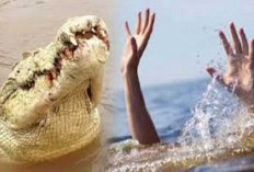 Dikenal Ramah dan Baik, Ketua BPD Desa Telangu Yang Hilang Diduga Diterkam Buaya