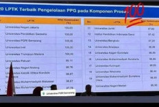 Persentase Kelulusan PPG Piloting 3 Beredar, Ada 5 LPTK Lulus 100 Persen,  Benarkah? Ini Jawabannya