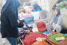 Jadi Penyumbang Inflasi Tertinggi Pekan Ini, Harga cabai merah keriting Kian “Pedas”