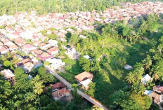 Sejarah Desa Ulak Kerbau Ogan Ilir: Dari Pusaran Sungai Ogan hingga Pusat Konveksi