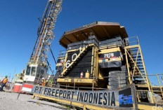 Loker Terbaru, Bergabunglah dengan Tim Unggul PT Freeport Indonesia, Ini Posisi yang Dibutuhkan!